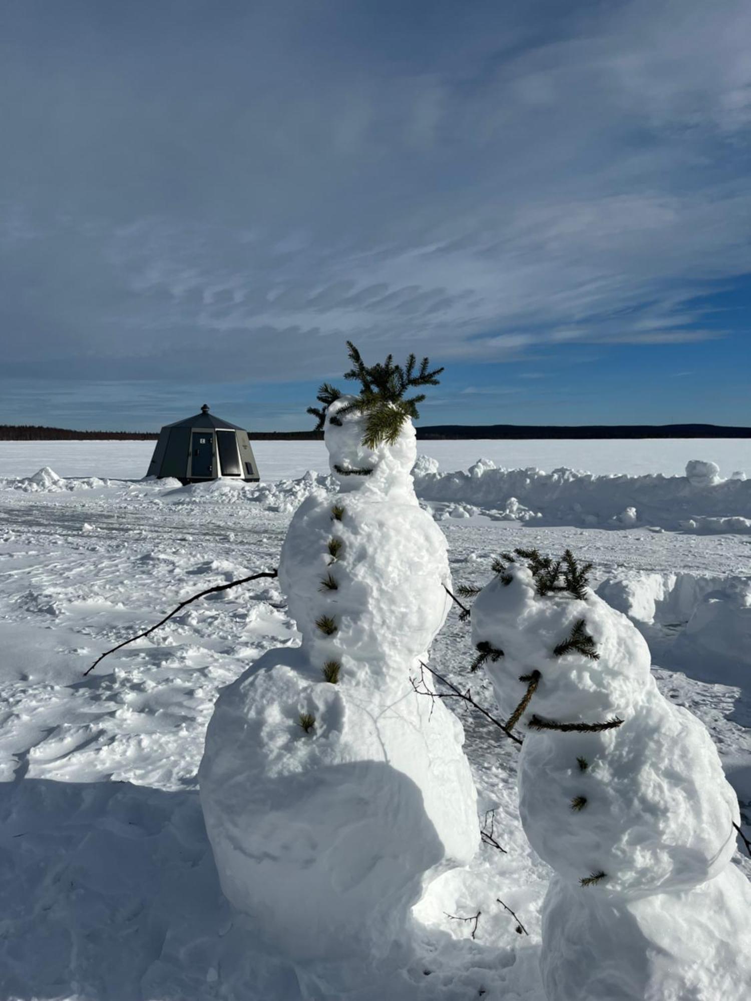 Vikajaervi Lake View Experience Igloos Rovaniemi Ngoại thất bức ảnh